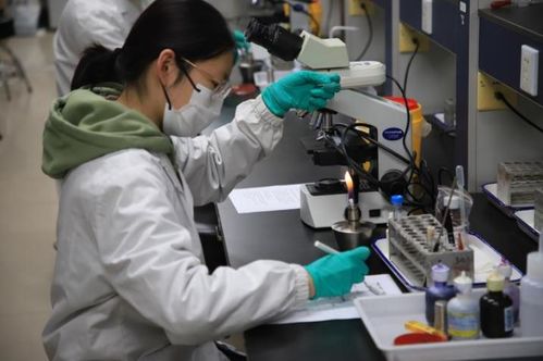 第九届达承杯医学检验技术专业本科生技能大赛圆满落幕，技术研发成果显著