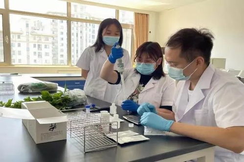 推广应用快速检测技术，筑牢农产品质量安全“最初一公里”防线